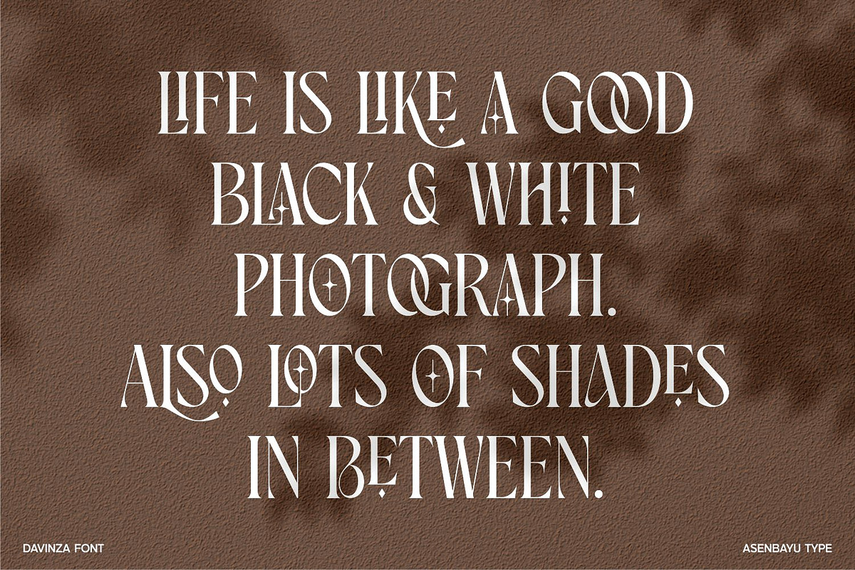 Davinza - Elegant Serif Font, a Serif Font by Asenbayu (Photo 9 of 14)