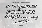 Raven Jazz | Vintage Display Font, a Handwritten Font by AnMark (Thumbnail 3 of 11)