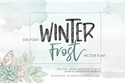 WINTER FROST Script + SVG + Bonus, a Script Font by Olexstudio (Thumbnail 18 of 19)