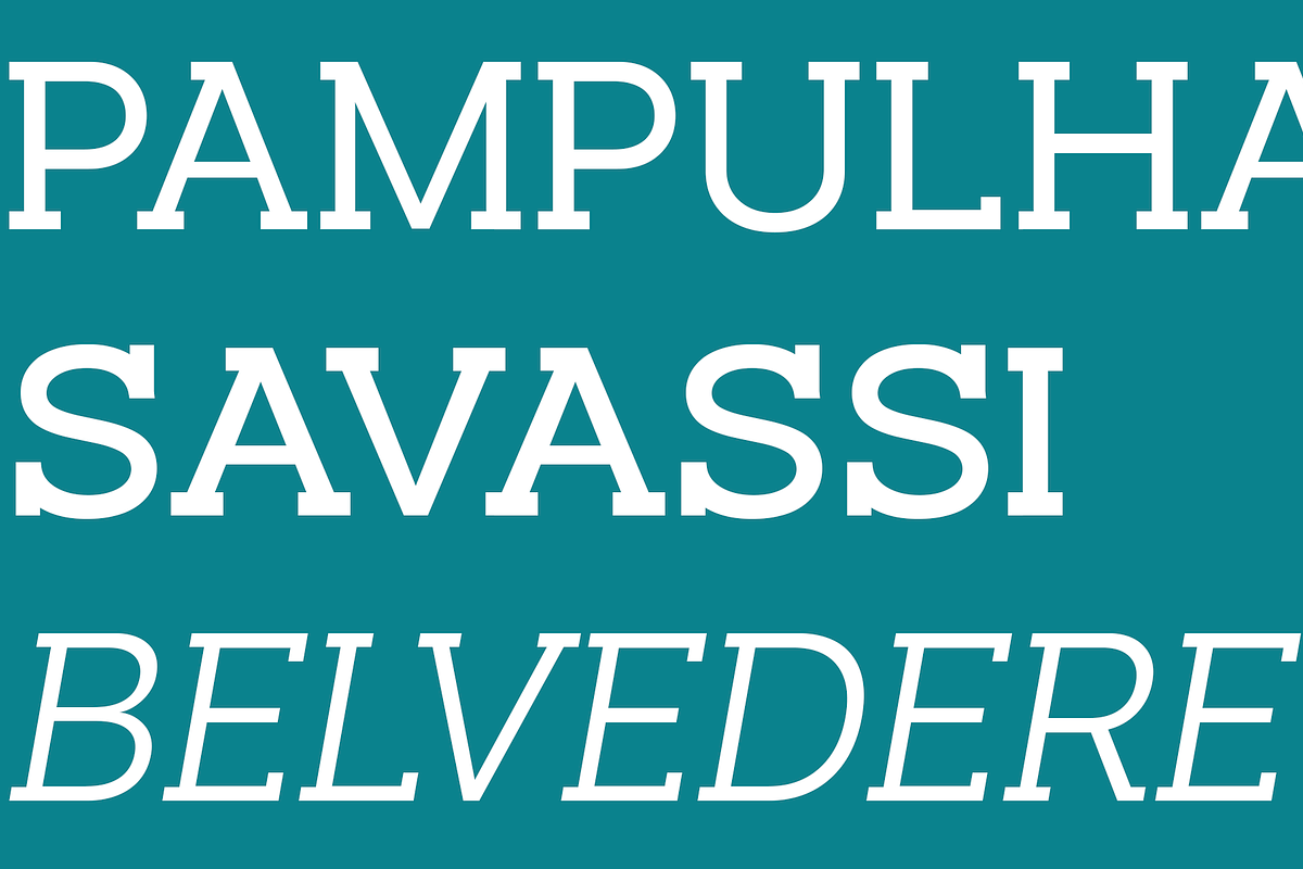 [80% OFF] Beaga | Font Family, a Slab Serif Font by Alvotype (Photo 2 of 4)