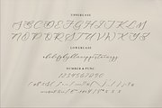 Gladioss Feather Luxury Script Font, a Script Font by Storytype Studio (Thumbnail 13 of 15)