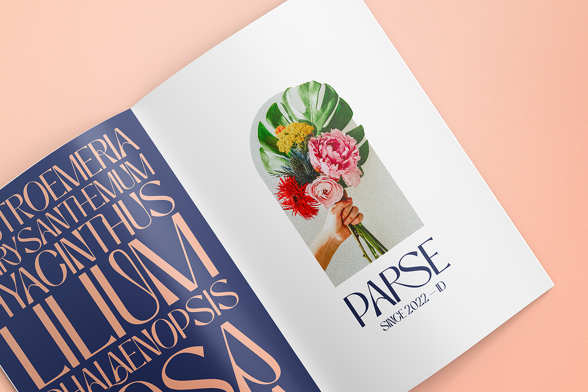 Niasec Lux Elegant Display Font, a Sans Serif Font by Casloop Studio (Photo 5 of 15)