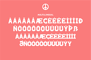 Gorine Flums A Display Font, a Sans Serif Font by Storytype Studio (Thumbnail 14 of 15)