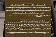 Blackers Luminous, a Handwritten Font by operatype.co (Thumbnail 13 of 15)