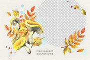 Autumn Botanical Watercolor Isolated, an Illustration by NATASHA CHU (Thumbnail 3 of 5)