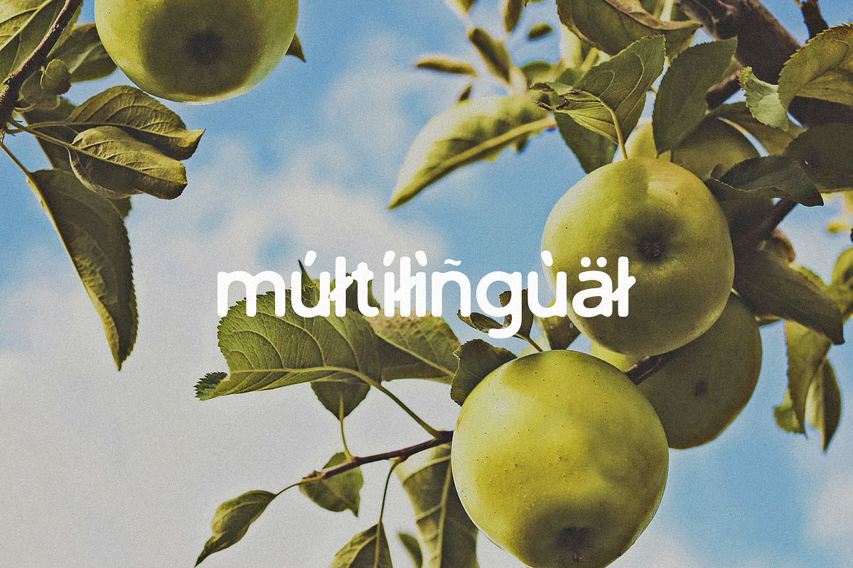 Green Apple - Vintage Sans Serif, a Sans Serif Font by Schrifted Type (Photo 8 of 8)