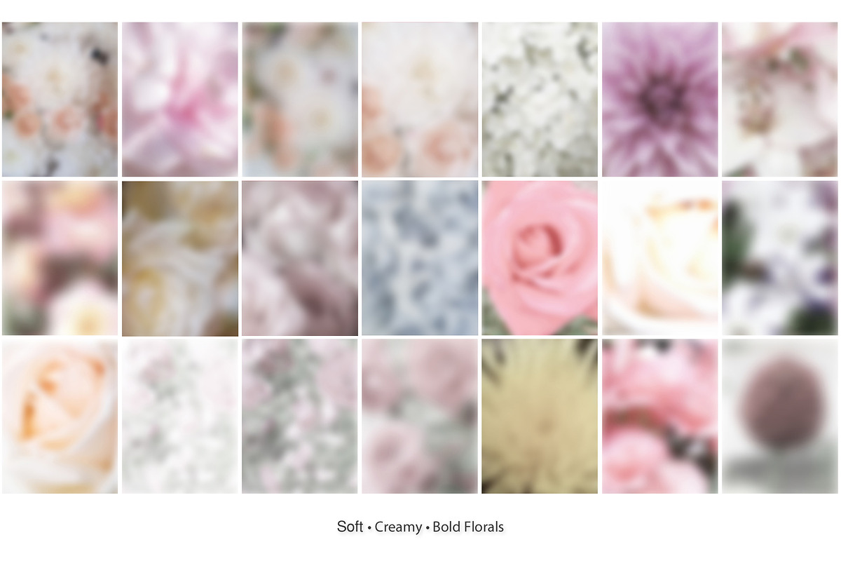 65 Soft Bloom Blur Backgrounds., a Background Graphic by TaPilipa (Photo 6 of 9)