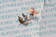 The Aveloria, a Serif Font by Slex Studio (Thumbnail 7 of 10)