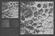 Square Tones Vol. 7 | Halftones, a Texture Graphic by invisiblelayer (Thumbnail 3 of 5)