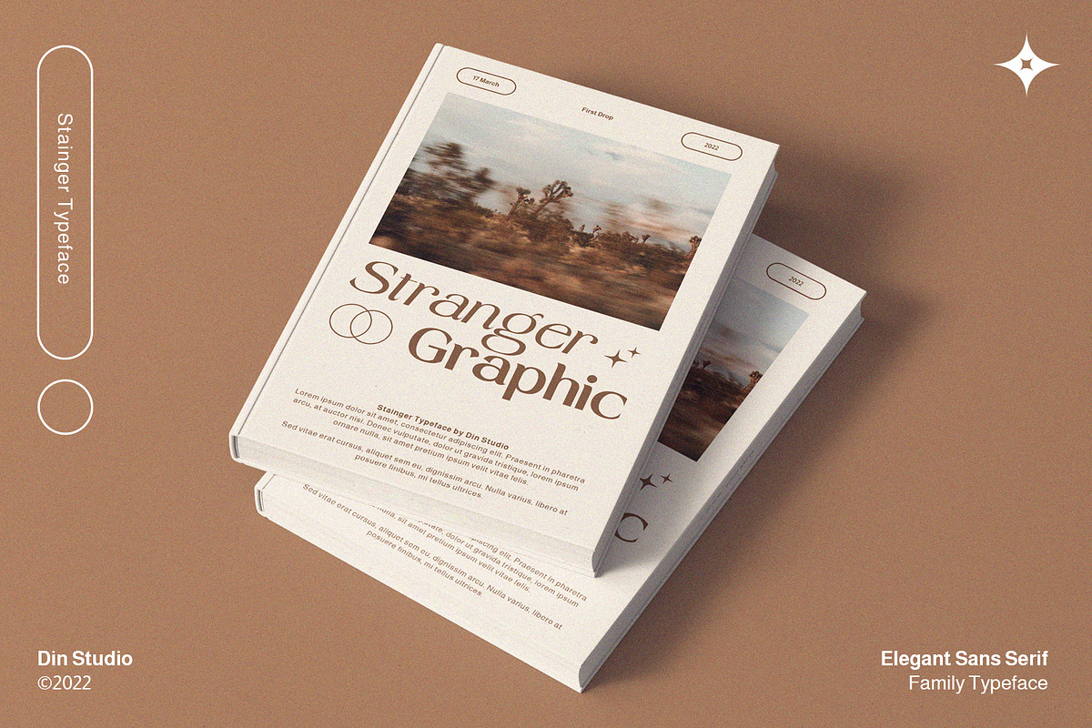 Stainger, a Sans Serif Font by din-studio.com (Photo 5 of 11)
