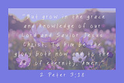 Sticky Notes Handwriting Font, a Handwritten Font by Eryn Rose Design (Thumbnail 6 of 7)