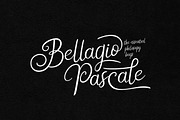 New Florence - Modern Classic Font, a Script Font by HIRO.std (Thumbnail 2 of 15)