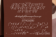 Lively Violet, a Script Font by operatype.co (Thumbnail 13 of 15)
