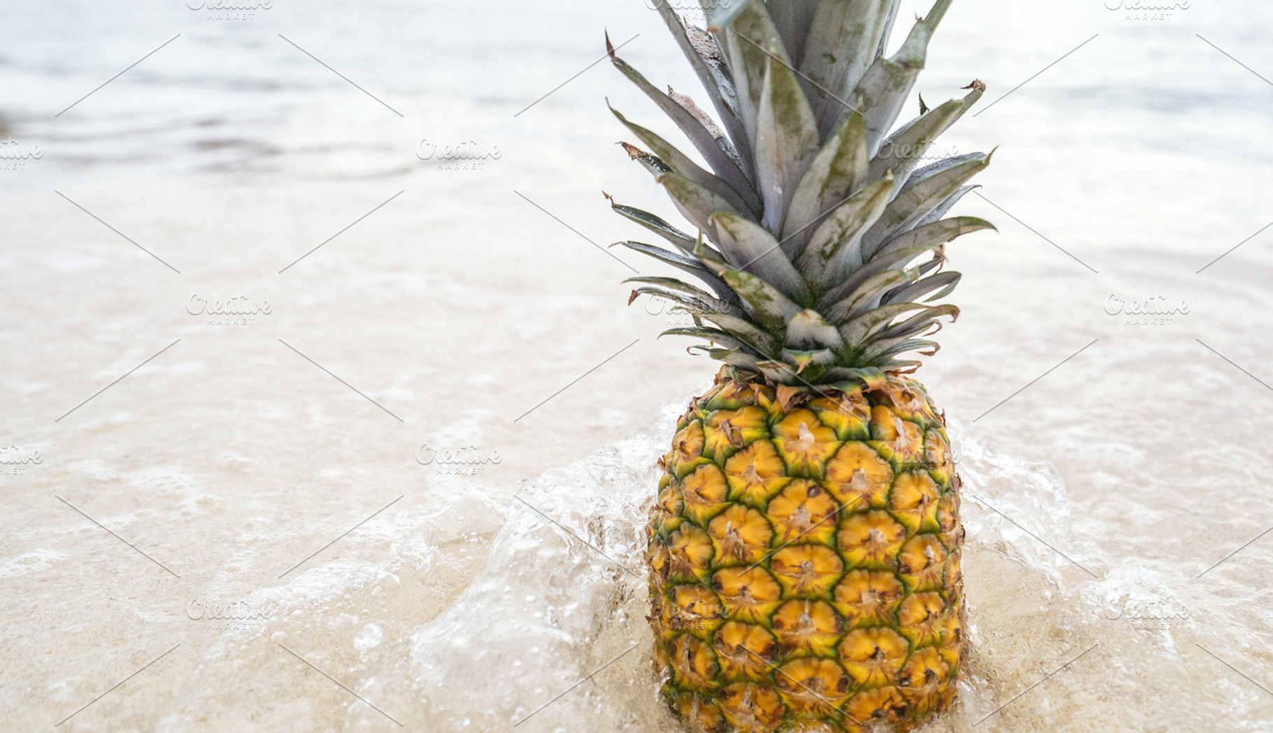 Pineapple at Beach in Mexico 6, a Nature Photo by Pineapple Shop