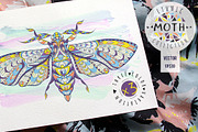 Ethnic Collection: Moth, an Animal Illustration by ArtoJoy (Thumbnail 1 of 4)