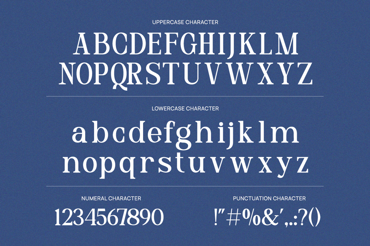 Delmora Elegant Display Serif Font, a Serif Font by Vadovastd (Photo 2 of 8)
