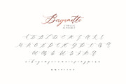 Bergamotte Fine Art Calligraphy, a Handwritten Font by supfonts (Thumbnail 9 of 9)