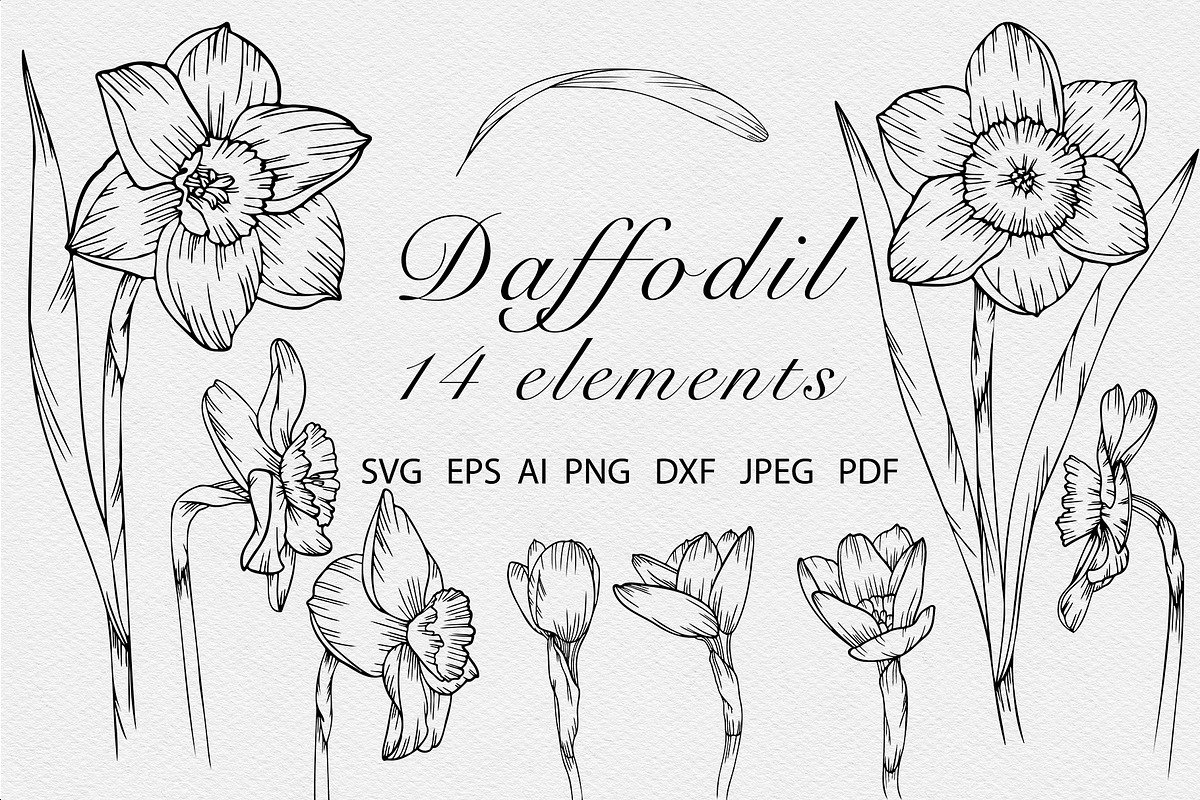 Daffodil flower SVG Line art vector, an Object Graphic by mArtstore (Photo 1 of 4)