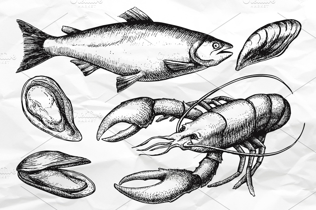Seafood. Hand Drawn Vintage Set, a Background Graphic by Epine (Photo 3 of 5)