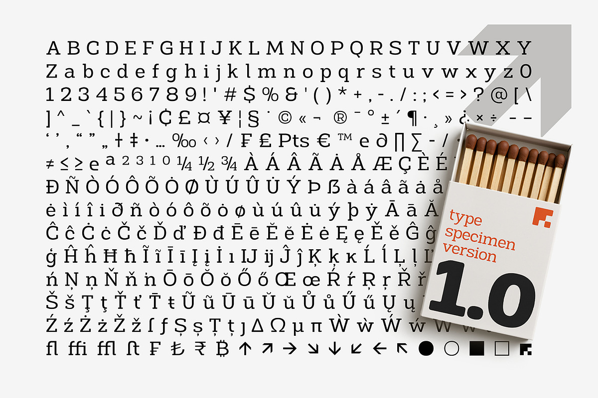 Montes Slab Family, a Slab Serif Font by Fargun Studio (Photo 14 of 15)