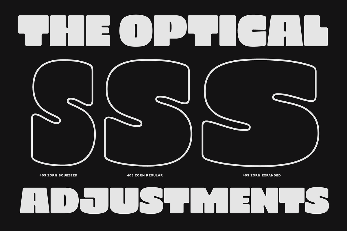 403 Zorn Variable Display Font, a Sans Serif Font by 403 Type Foundry (Photo 5 of 16)