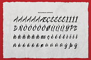 Curiousity Reuis Handwritten Script, a Script Font by gracetype_studio (Thumbnail 10 of 11)