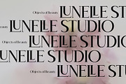 BrandNew – Luxury Serif Family, a Serif Font by BilberryCreates (Thumbnail 6 of 16)