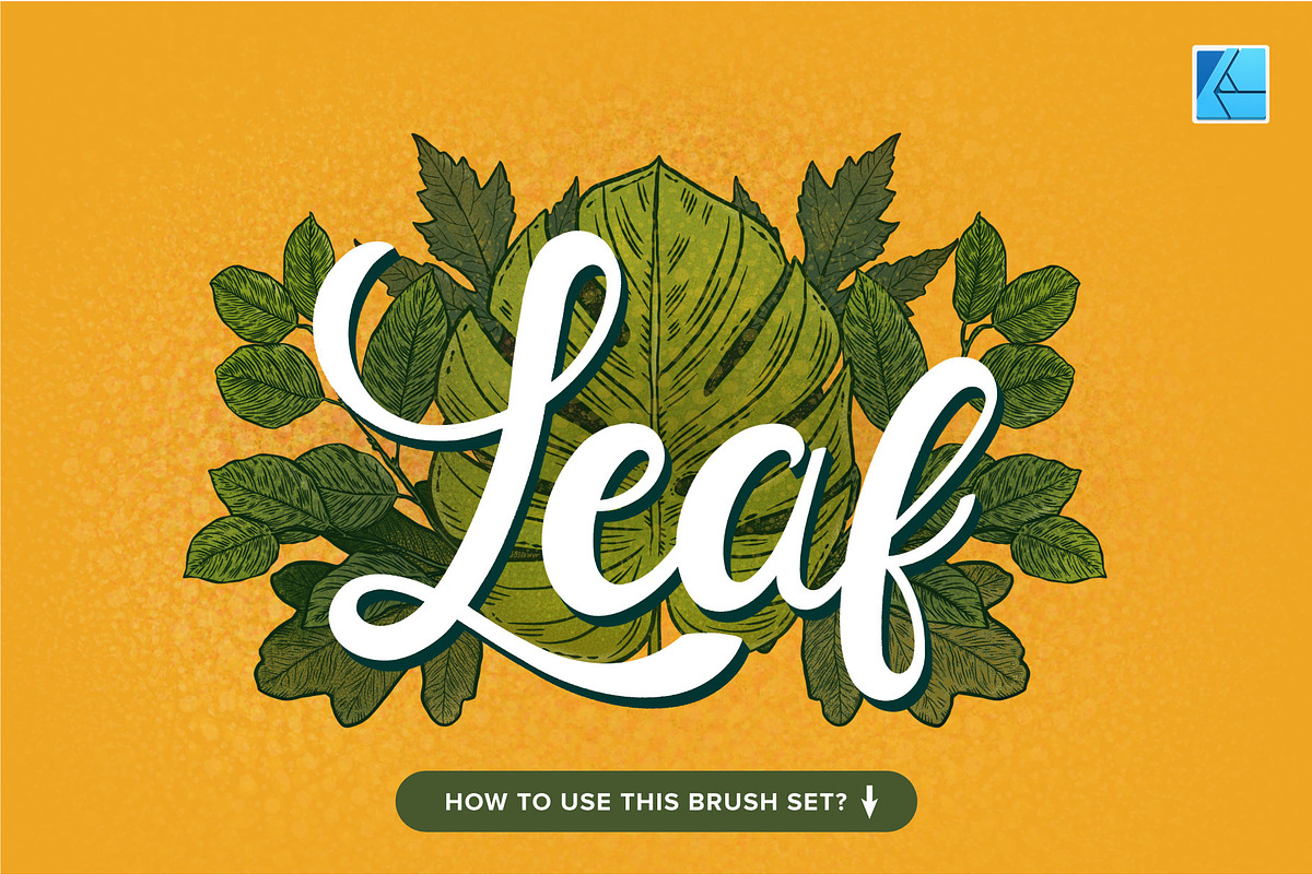12 Leaf Affinity Stamp Brushes, a Brush Add-On by Riveros Illustration (Photo 4 of 9)