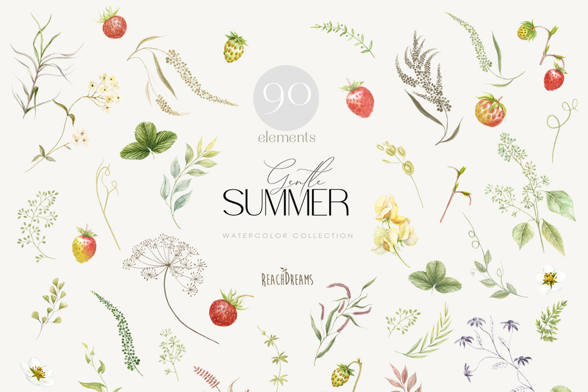 Meadow Flowers Strawberry Collection, a Decorative Illustration by ReachDreams (Photo 9 of 11)