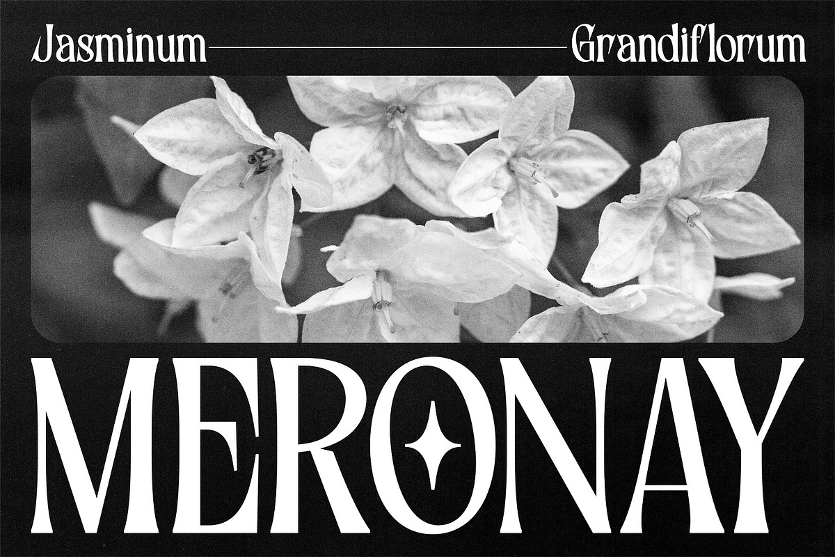 Yordic - Modern Serif Display, a Serif Font by Bentype Studio (Photo 3 of 7)