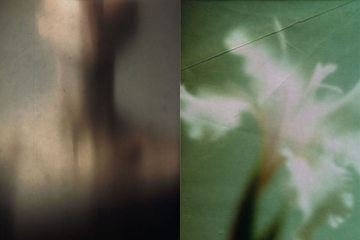 Dreamy Blur Backgrounds, a Background Graphic by Natali Batu (Photo 8 of 8)