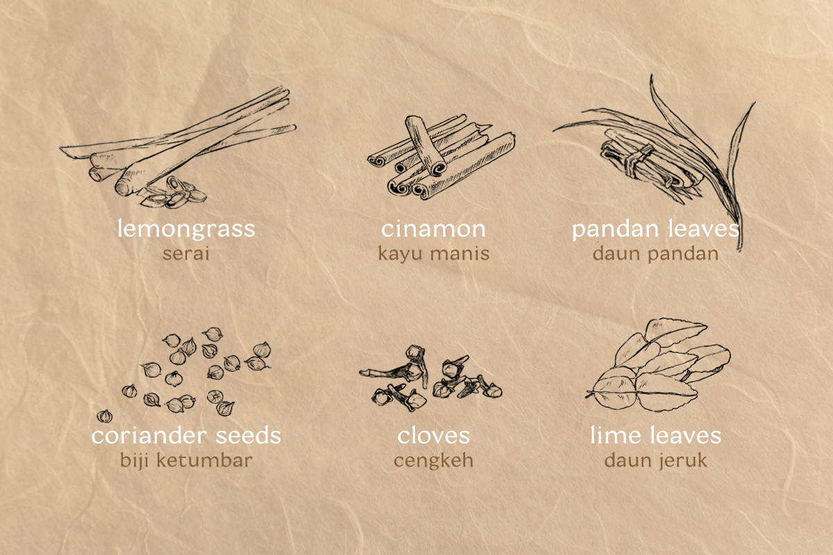 Pencil Drawing Indonesian Spices, an Illustration by elpple (Photo 3 of 4)