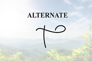 Nature | Script Font, a Handwritten Font by Scratchones (Thumbnail 8 of 9)