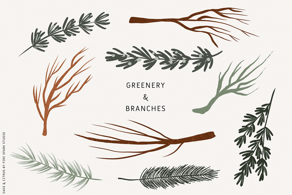 Sage Green Citrus Illustrations, an Object Illustration by Fire Spark Studio (Photo 4 of 9)