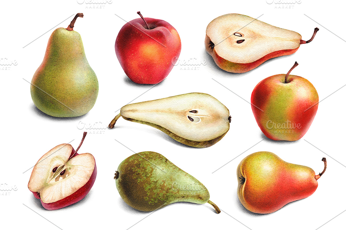 Illustrations of pears and apples, a Food Illustration by Sundra