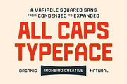 IC Beckons - Variable Squared Sans, a Sans Serif Font by IronbirdCreative (Thumbnail 6 of 8)