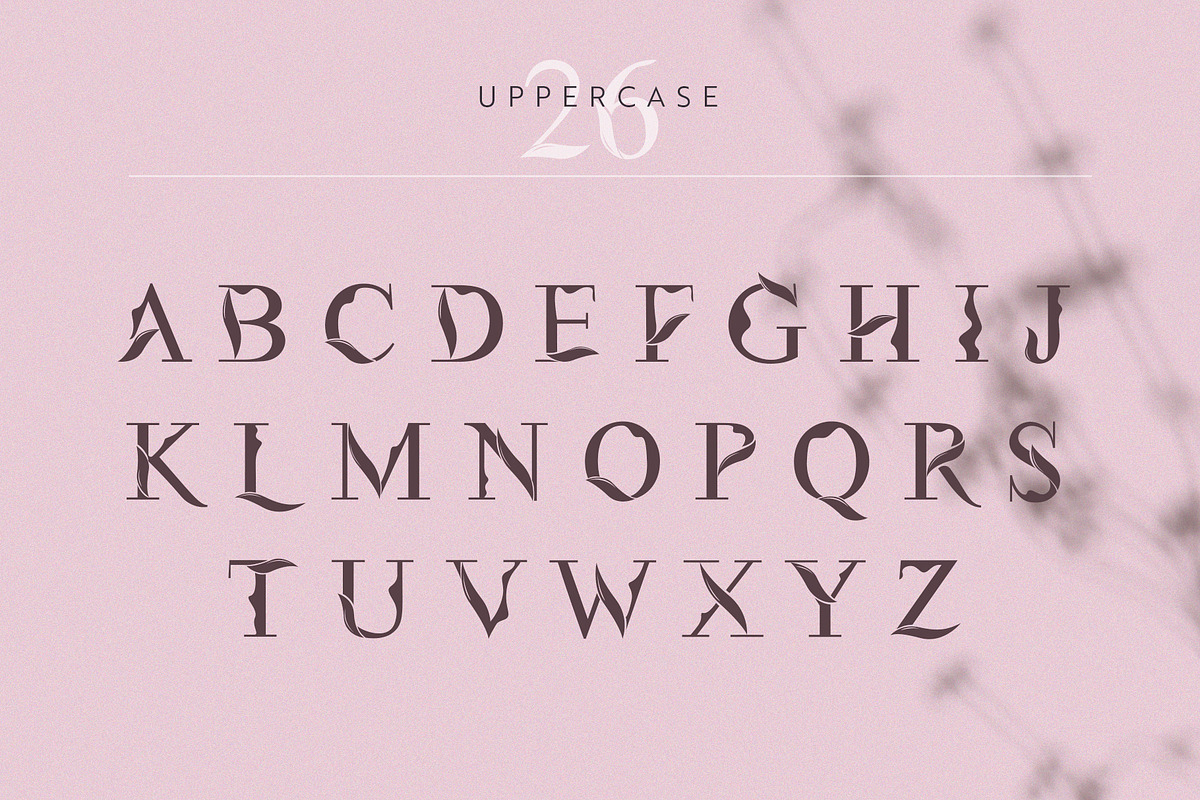 Flora | Modern Display Font, a Serif Font by Kandella's Art (Photo 2 of 18)