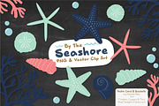 Modern Chic Vector Seashells, an Illustration by Amanda Ilkov (Thumbnail 3 of 5)