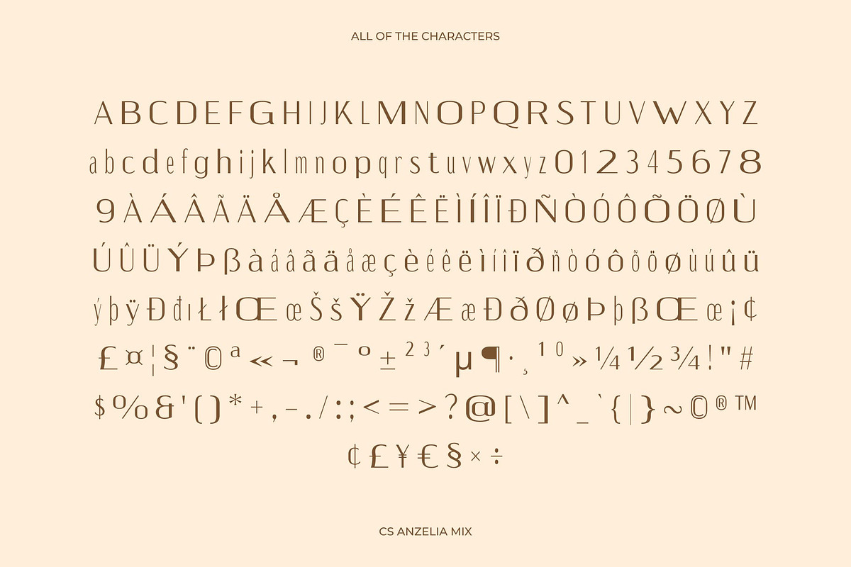 CS Anzelia Mix, a Sans Serif Font by Craft Supply Co. (Photo 8 of 8)