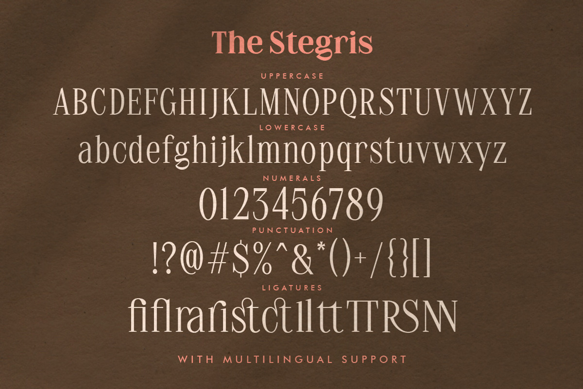 The Stegris Serif Family - 5 Weights, a Serif Font by Letterhend Studio (Photo 9 of 9)