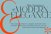 Valore Pro – Classic Modern Typeface, a Serif Font by Nollev (Thumbnail 10 of 12)