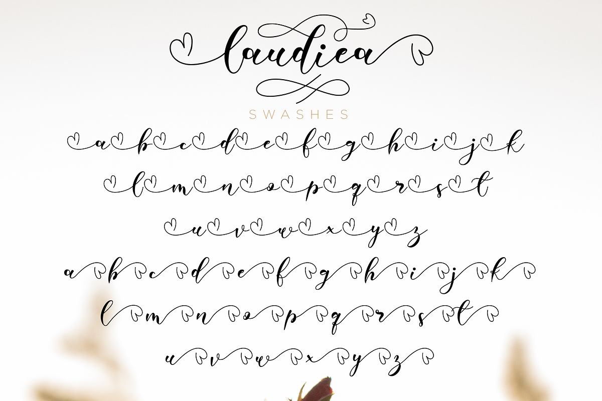 Laudiea // Lovely Script Font preview 8