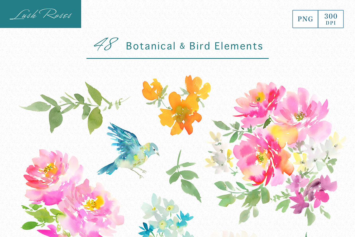 Watercolor pink roses with birds, an Object Graphic by Sawango Designs (Photo 4 of 12)