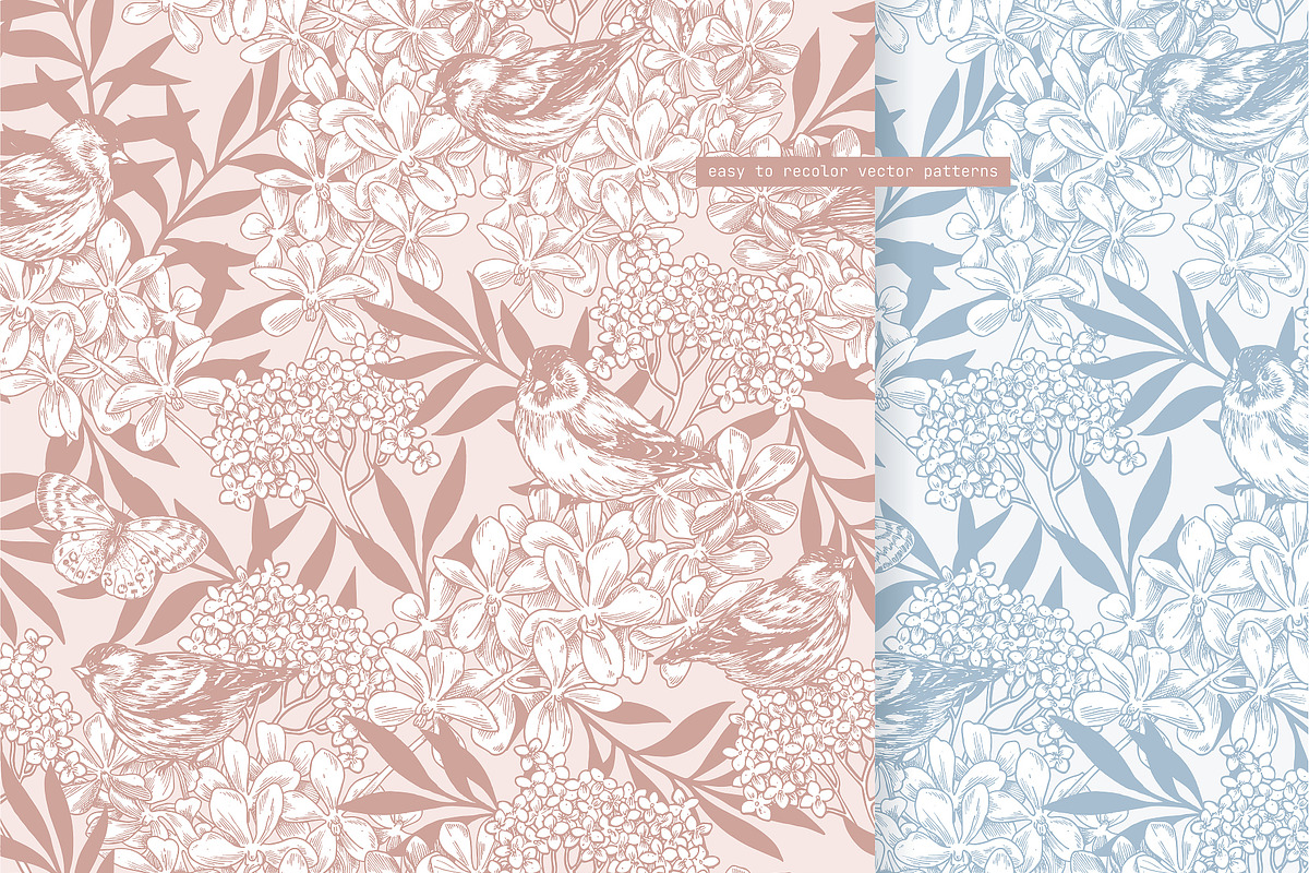 Spring Flowers Collection, an Illustration by adehoidar (Photo 5 of 9)