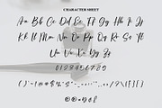 Calligraphy, a Sans Serif Font by FreshTypeINK (Thumbnail 4 of 7)
