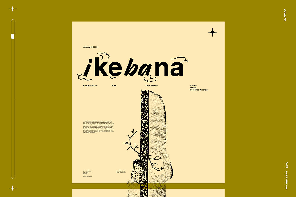 Ikebana Botanical Illustration Set, a Decorative Illustration by Nomad Visuals (Photo 5 of 9)