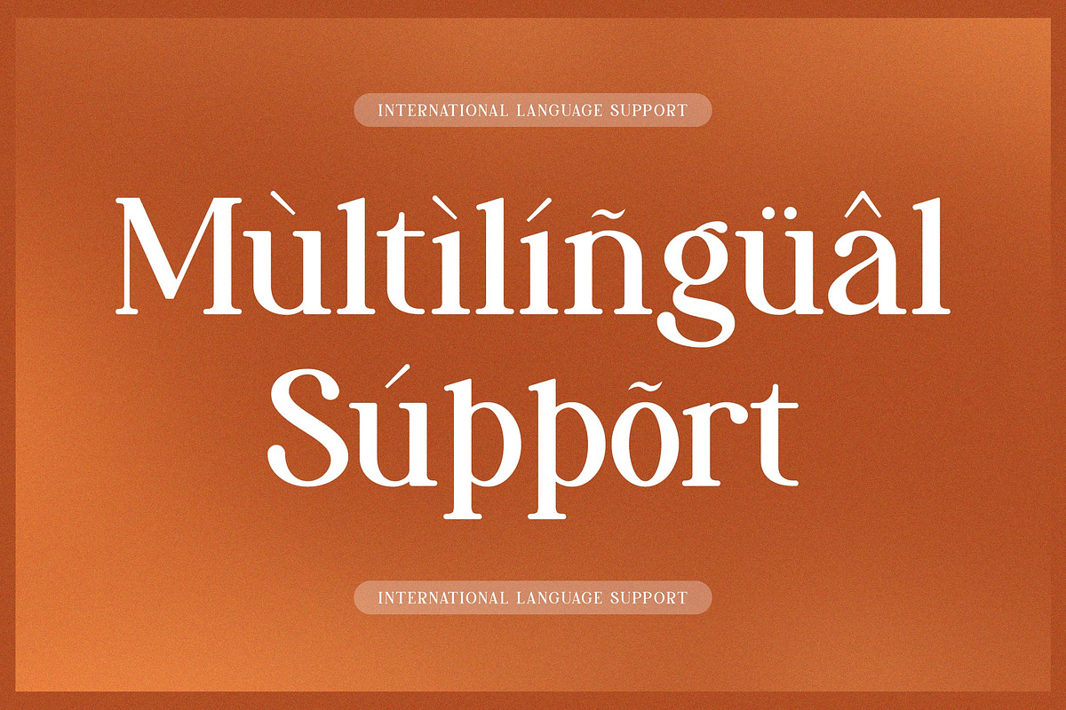 Reihard Sejenak | Modern Serif, a Serif Font by Denustudios (Photo 12 of 13)