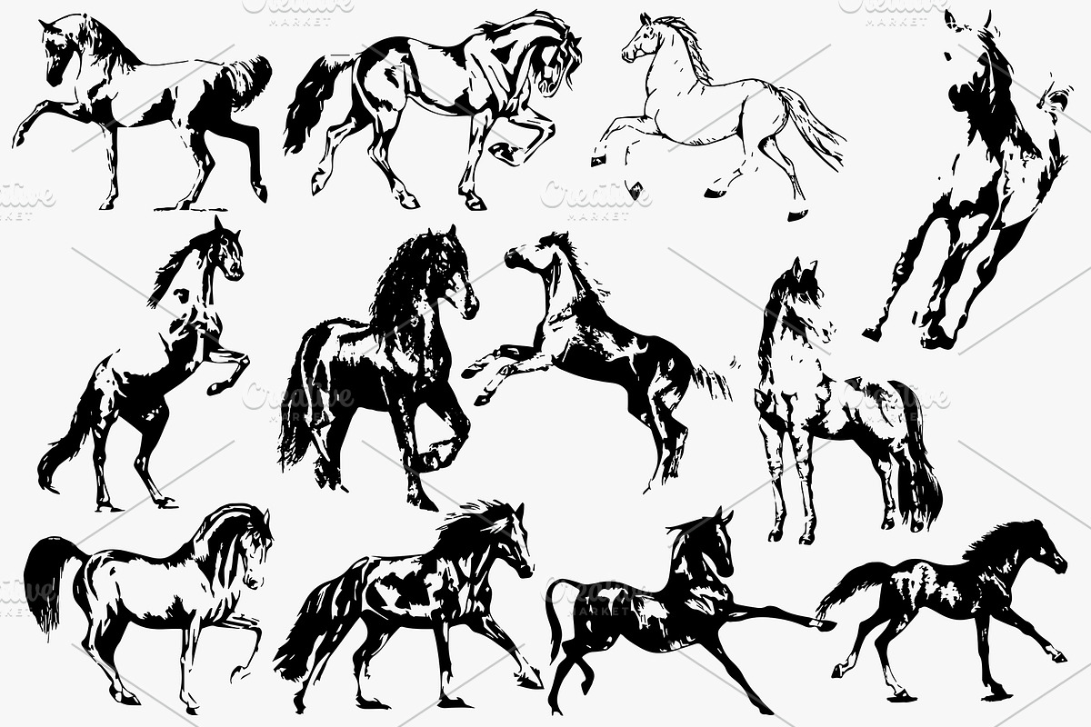 Hand drawn horse collection 2 vector, an Animal Illustration by AnastasiyaOleynik (Photo 2 of 3)