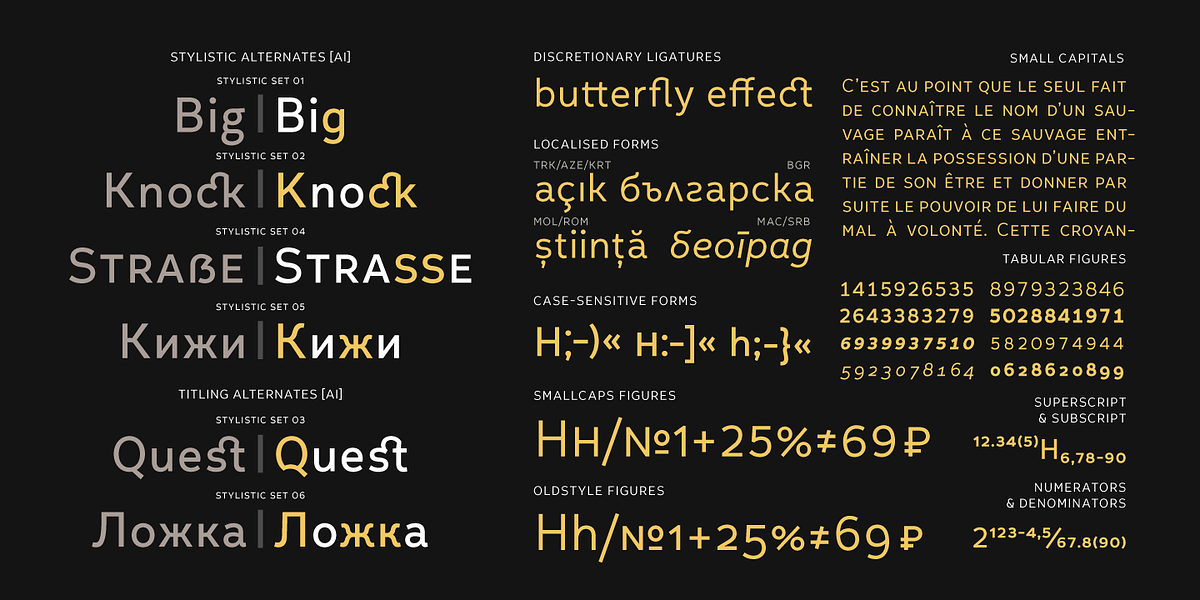 Leto Text Sans, a Sans Serif Font by Glen Jan (Photo 4 of 18)