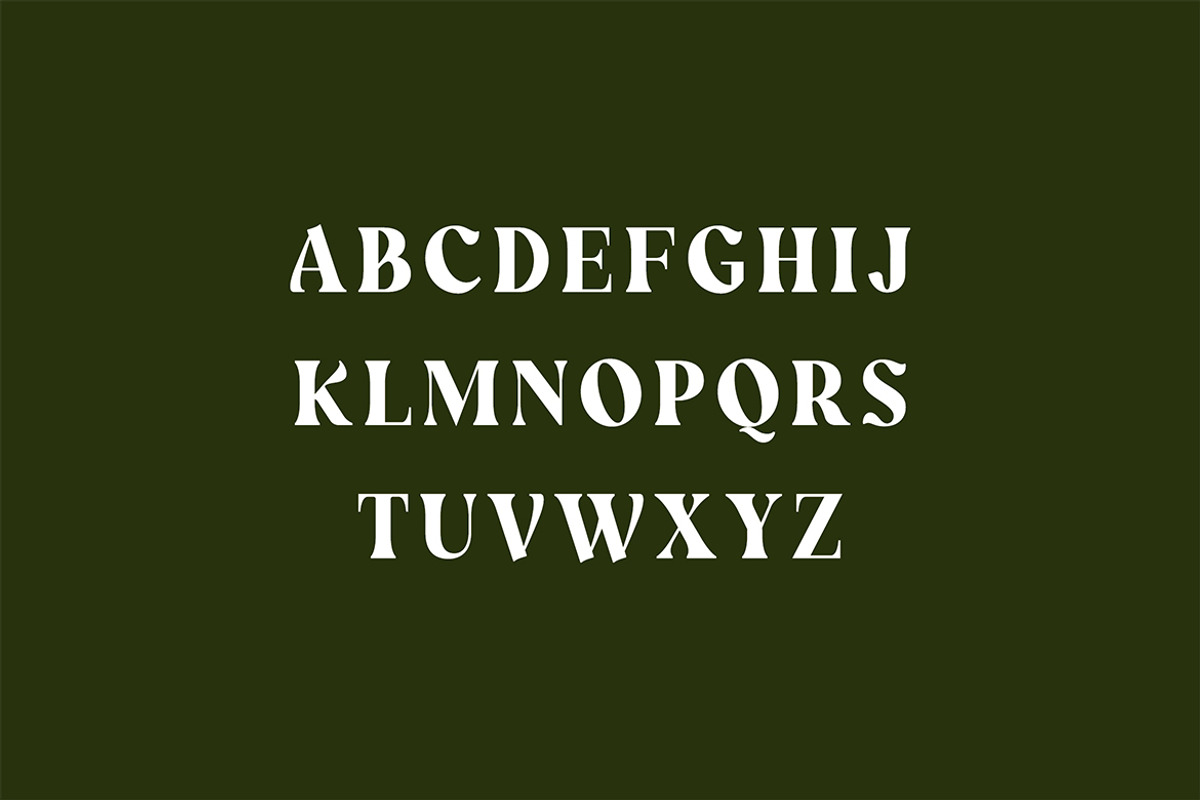 Wainscoted Modern Serif Font, a Serif Font by UICreative (Photo 8 of 12)
